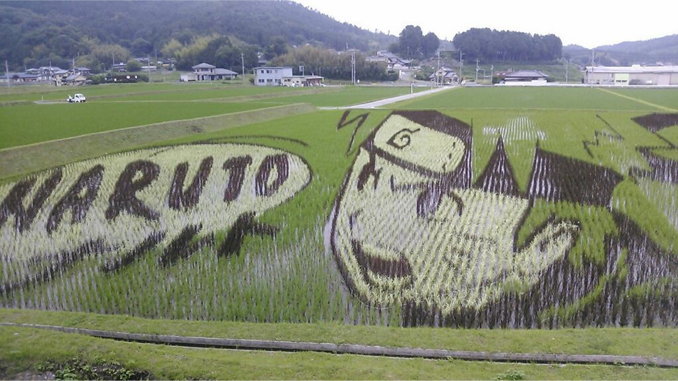 Jepang dan Keunikan Seni Beras Padi di Sawah