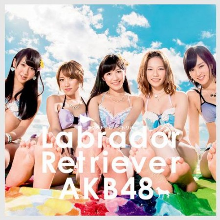 AKB48 - Labrador Retriever