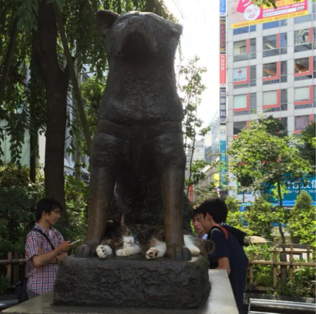 Hachiko