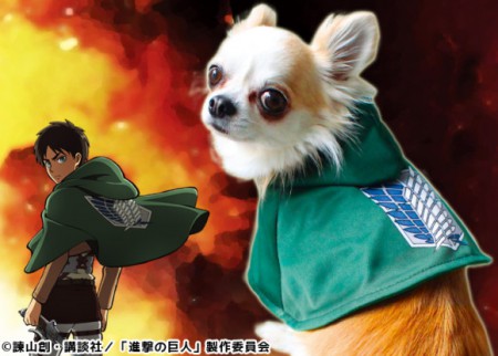 AoT Dog 1