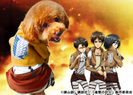 AoT Dog 2