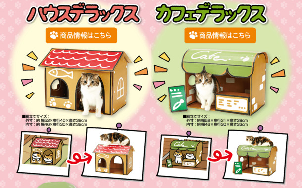 Neko Atsume Hadir Di Kehidupan Nyata