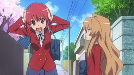 10. Toradora!