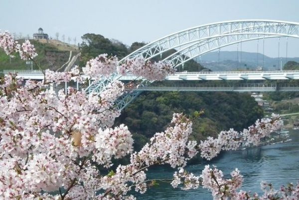 sakai bridge park