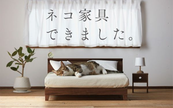 Perusahaan Furniture Jepang Membuat Miniatur Furniture Untuk Kucing Peliharaan