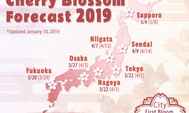 Tahun 2019, Kapan Sakura Akan Mekar?