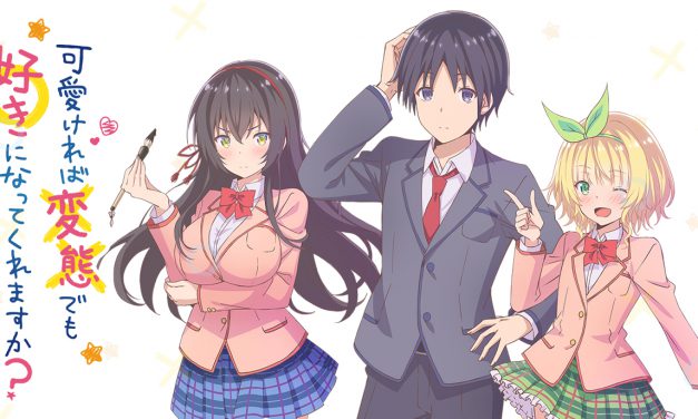 Light Novel “Kawaikereba Hentai demo Suki ni Natte Kuremasuka?” Akan Diadaptasi Menjadi Anime