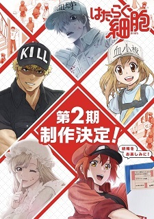 Anime ‘Hataraku Saibo’ Resmi Dapatkan Musim Keduanya