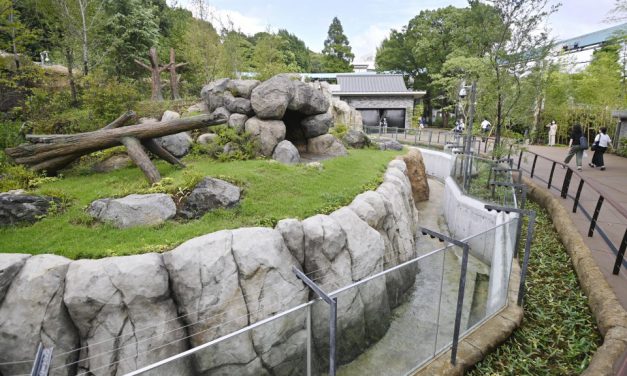 Kebun Binatang Tokyo Buka Kandang Panda Baru